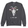 Pull enfant ados original - "Le vrai Goat"