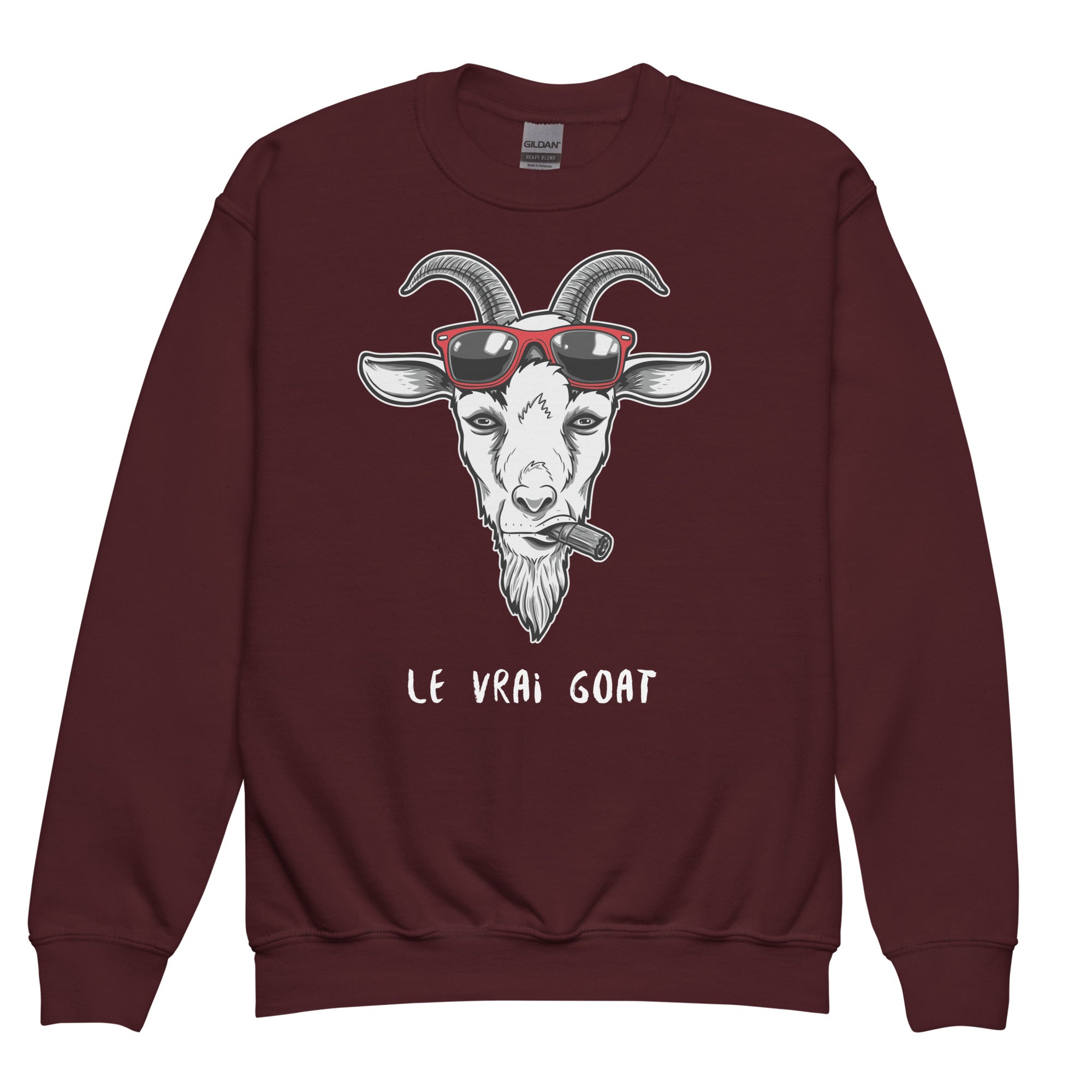 Pull enfant ados original - "Le vrai Goat"