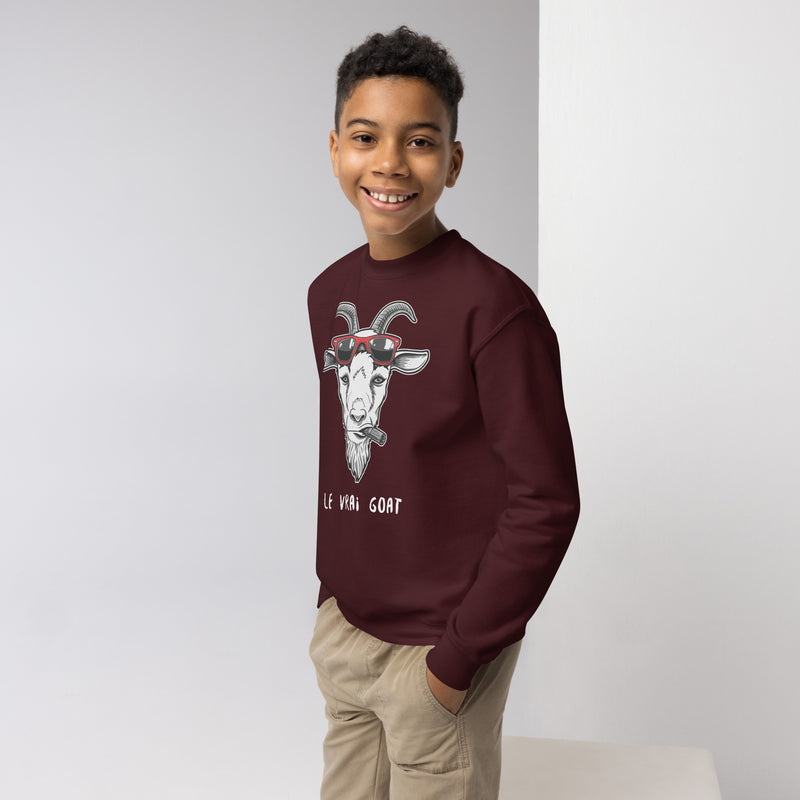 Pull enfant ados original - "Le vrai Goat"