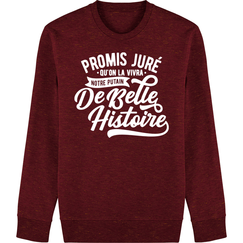 Pull col rond - PROMIS JURÉ